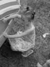 Lily242