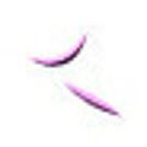 AN
