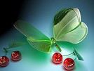 Hajer19