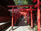 Kohanryo