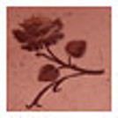 Roseclaude