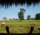 Kepassa