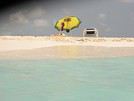 Fancine
