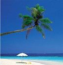 Gillou59